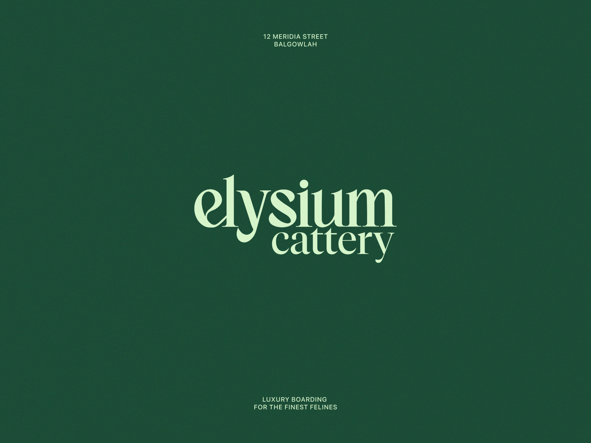 Elysium Cattery luxury brand identity overview